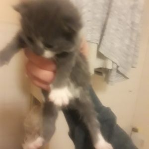 Meet your Posher, Tim